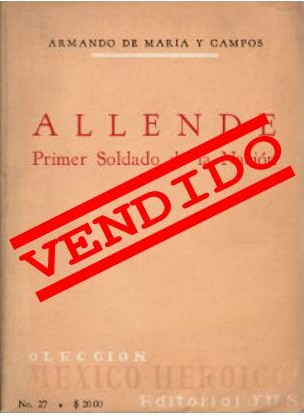 Imagen cubierta: Allende: Primer soldado de la Nación